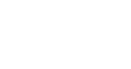 Brite Forest Logo